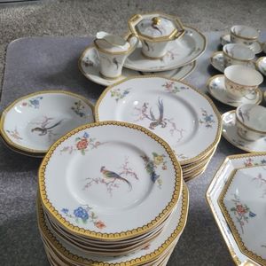 Haviland H&C Limoges EDEN Porcelain china set over 50 pieces!